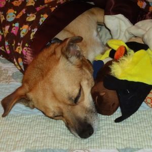 Meet your Posher, Margaret